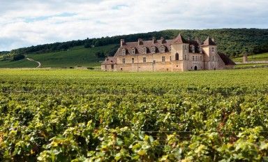 Fête des Pères 2025 : La Sélection Prestige de ViniPro
