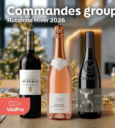 vinipro-catalogue-cse-commande-groupee-vins-automne-hiver-2026-960x1065.webp
